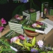 องค์การสวนพฤกษศาสตร์-ทำหนังสือรวม20พืชสกุลเทียนในไทย-|-เดลินิวส์